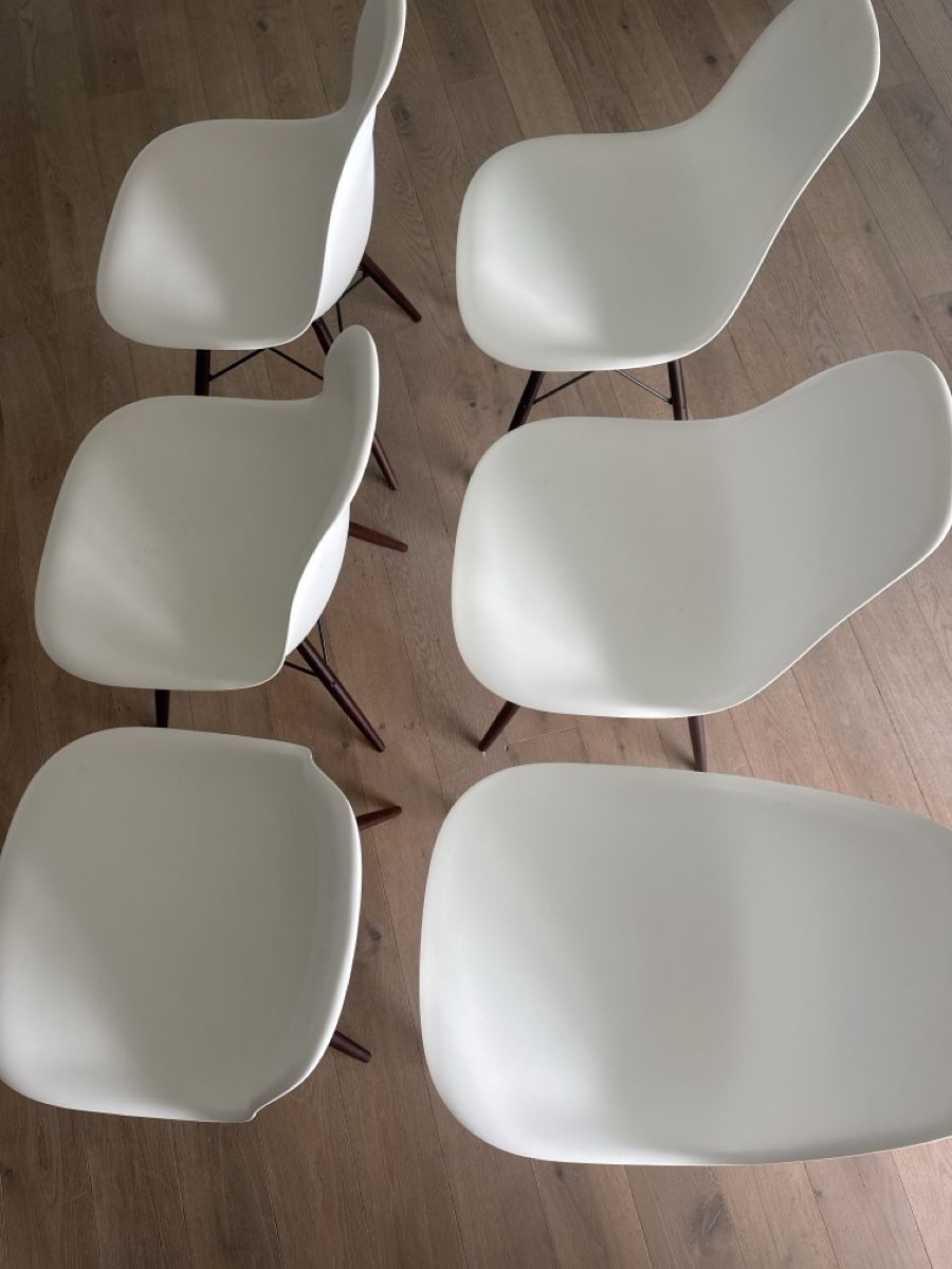 Eames Stühle: 6er Set Eames Plastic Side Chair (Vitra) – Gebraucht aus Küsnacht ZH von sammenas96 3