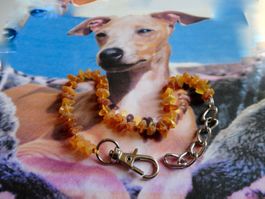 Hundekette Siril präsentiert  Bernstein/Amber/Ambre echt.