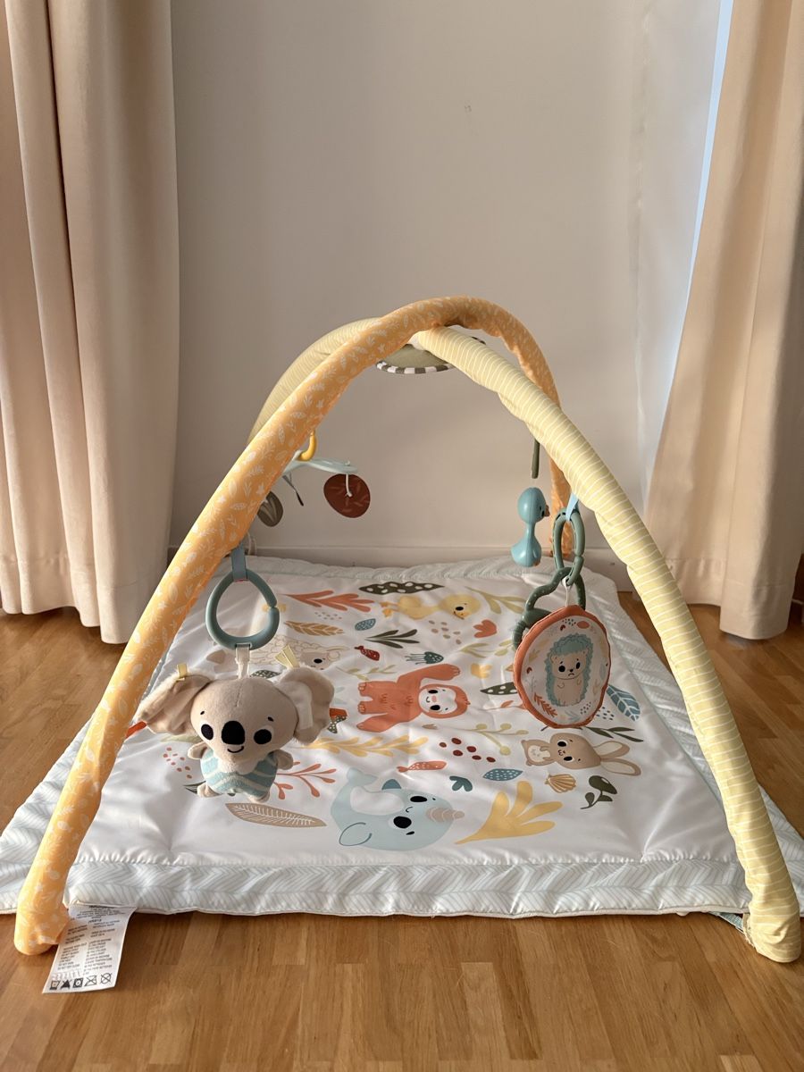 Fisher-Price Tappeto da gioco: Fisher-Price Krabbeldecke mit Spielbogen – Nuovo (secondo la descrizione) da St. Gallen venduto da Sonja-SG