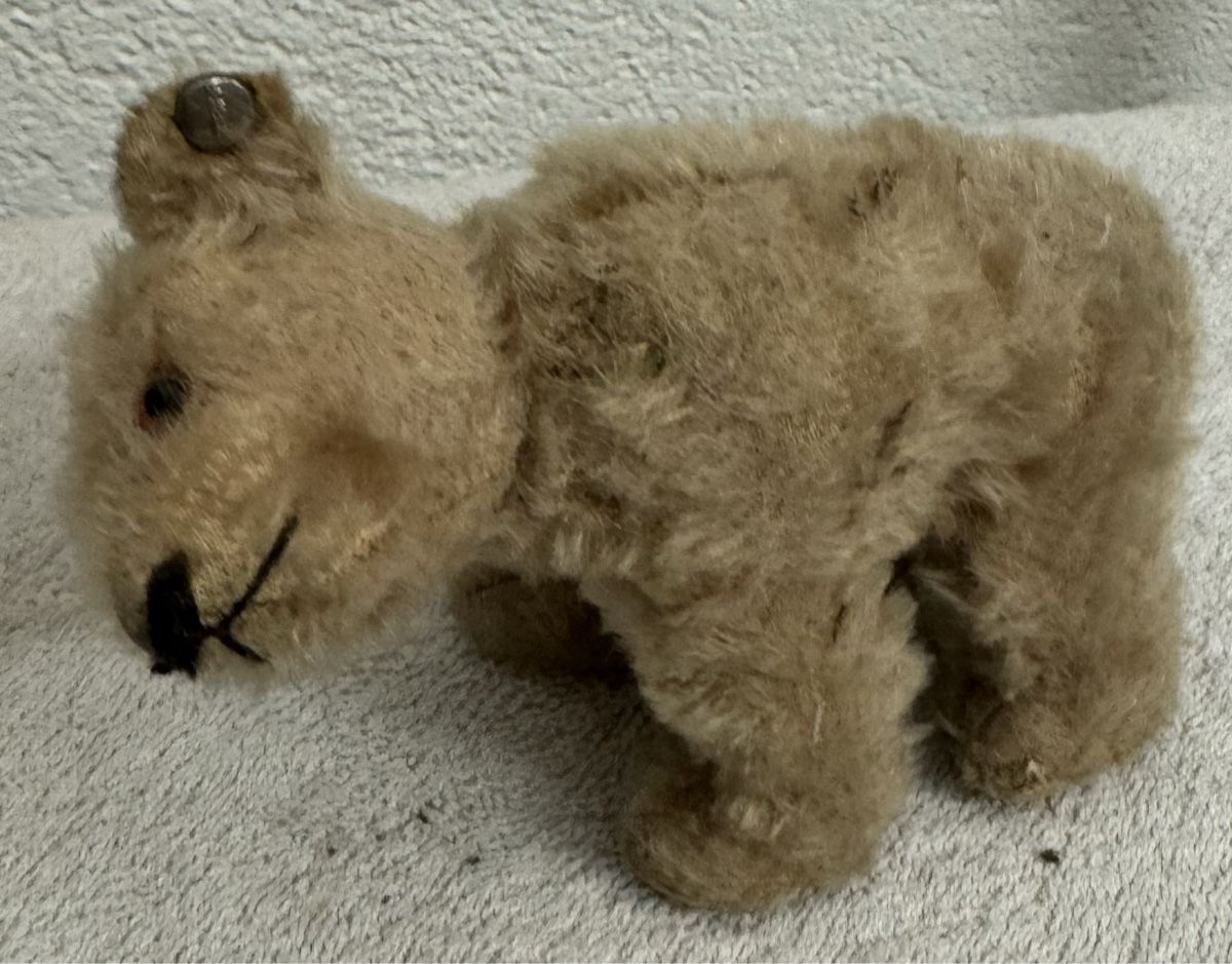 Steiff Giocattoli: Steiff Teddy – Usato da Binningen venduto da kal_5nsj 1