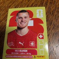 Panini 26 ELVEDI