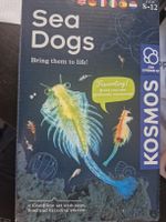 Sea Dogs Kosmos Experimentierkasten NEU