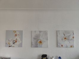 Bilder 3er Set