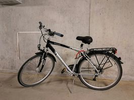 Herren City Fahrrad Winora