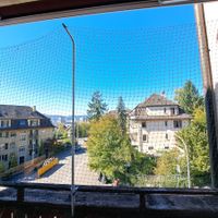Katzennetz für Balkon