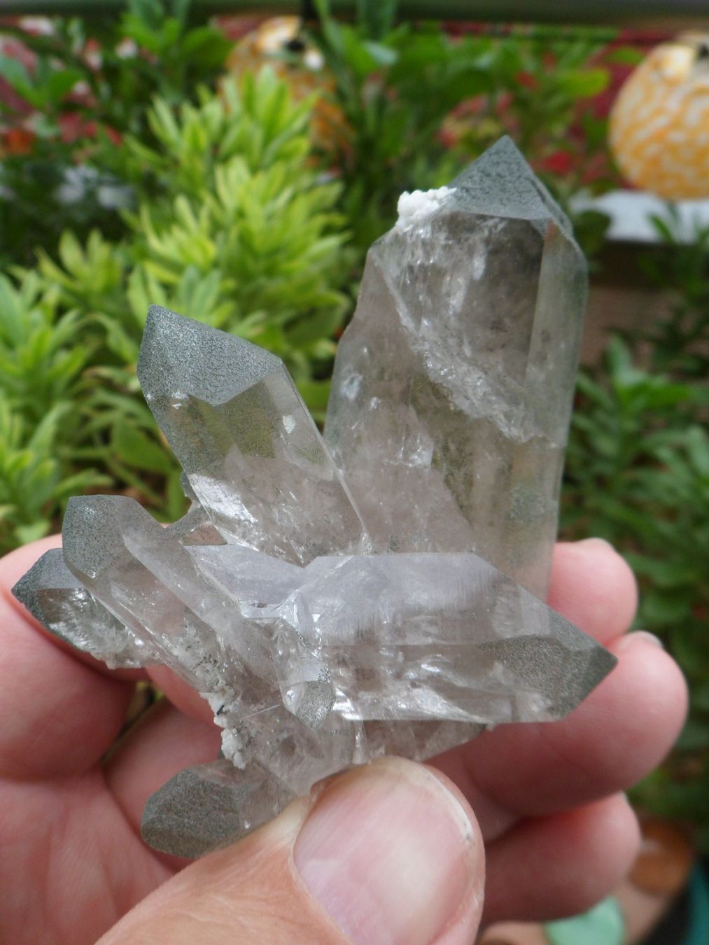 Minerali & Pietre curative: Bergkristall Schweiz – Nuovo (secondo la descrizione) da Affoltern am Albis venduto da Fossil60 2