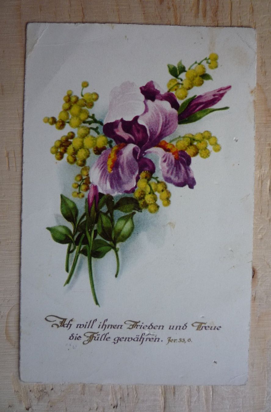 Cartoline postali: Blume mit Bibelspruch, 3.XII.30 – Usato da Rieden SG venduto da Brockehuesli