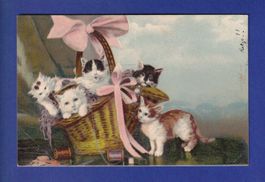 CHAT - Un panier de chats - Oblitération train BAYARDS
