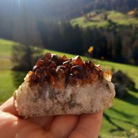 Citrin Quarz Druse Edelstein 221g Goldener Herbstzauber ✨