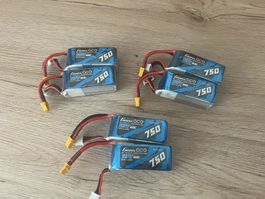 6 Stk. Gens Ace 3S 750mAh 60C