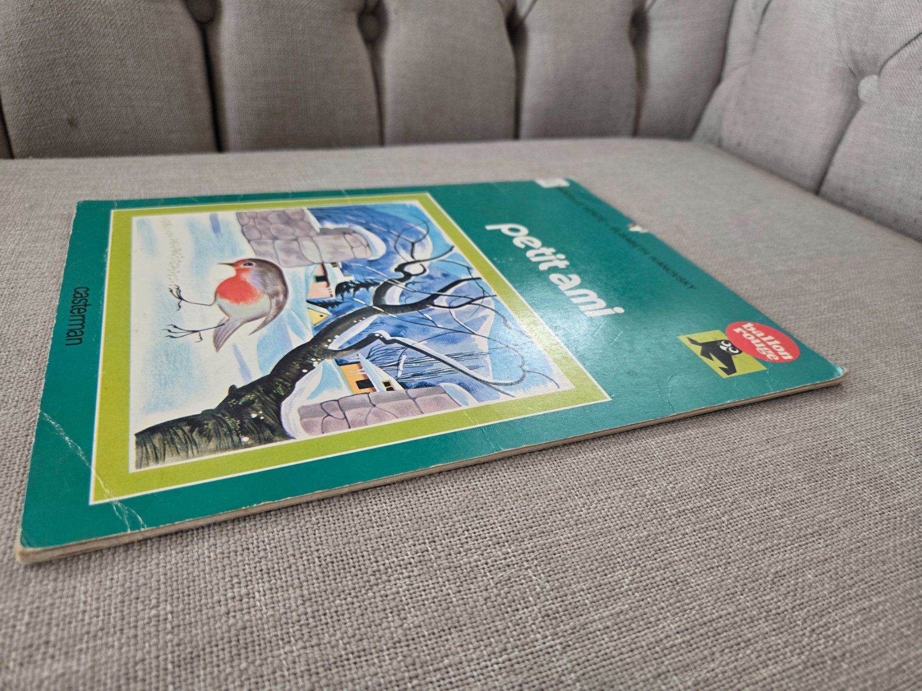 Libri: Petit ami - livre illustré – Usato da Crémines venduto da Blakedrake 3