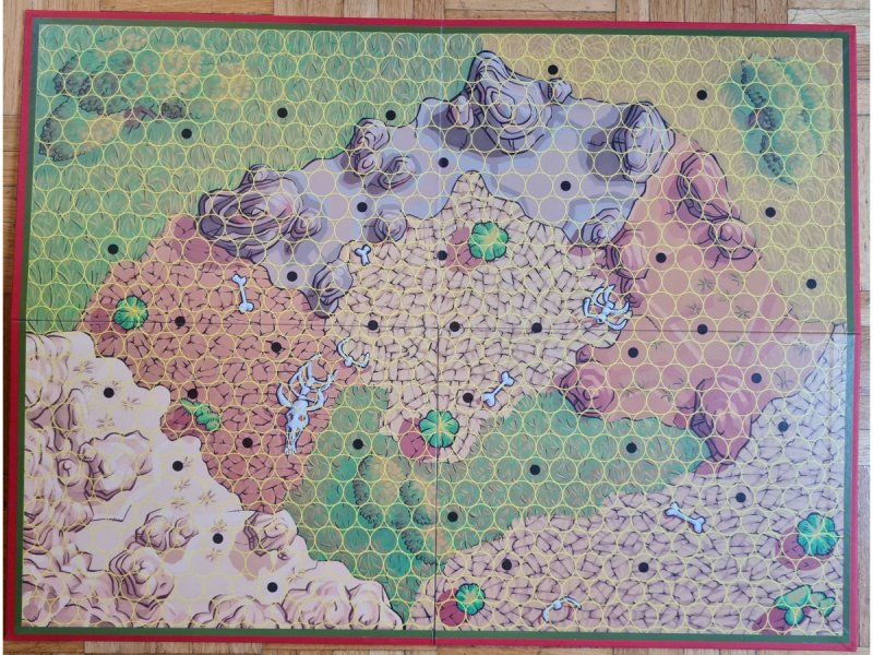 Giochi: Brettspiel "Sisimizi" – Usato da Zürich venduto da Desmond01 3