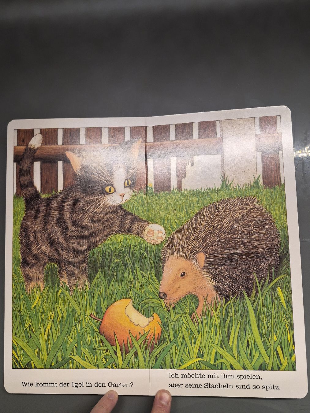 Libri: "Ich bin die kleine Katze" von Helmut Spanner, Ravensburger – Usato da Selzach venduto da Paradiso89 2