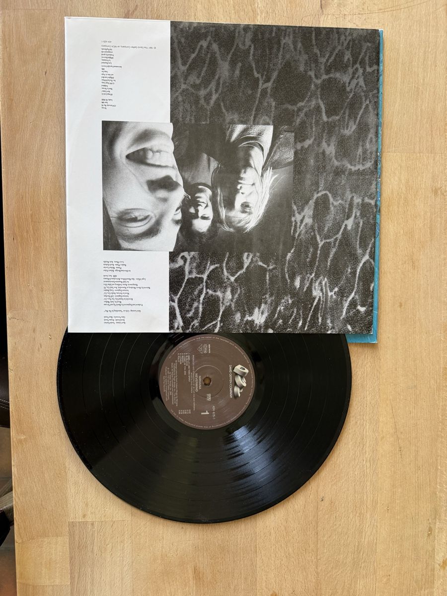 Piatti di portata: Nirvana Nevermind LP Platte – Usato da Wolhusen venduto da Raffi_Weber 2