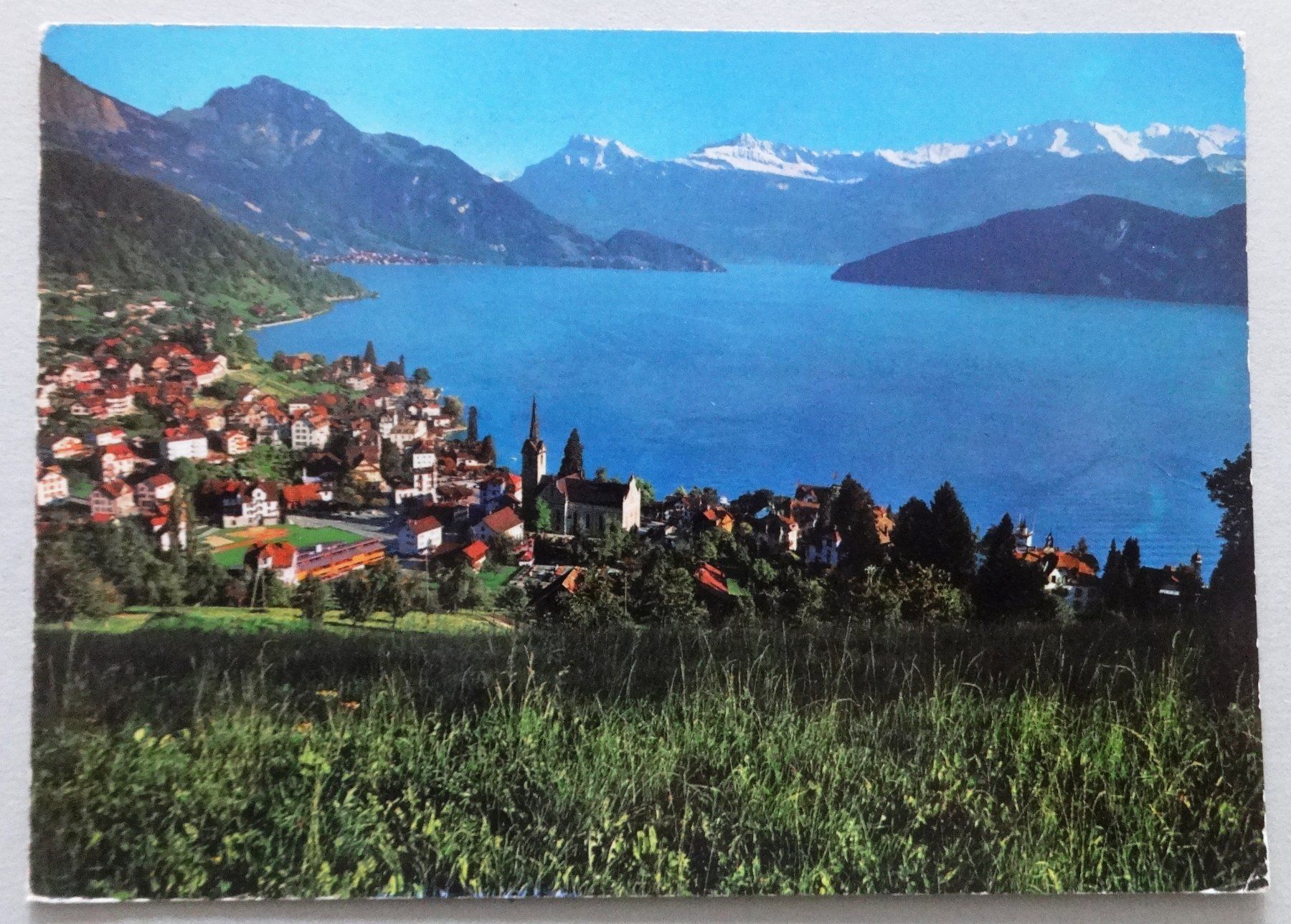Cartoline postali: Weggis, Nieder- und Oberbauen, Schwalmis – Usato da Fétigny venduto da Billy2miny