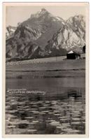 Seerosen im Schwendesee, Kurhaus Schönau, Wildhaus gel. 1934