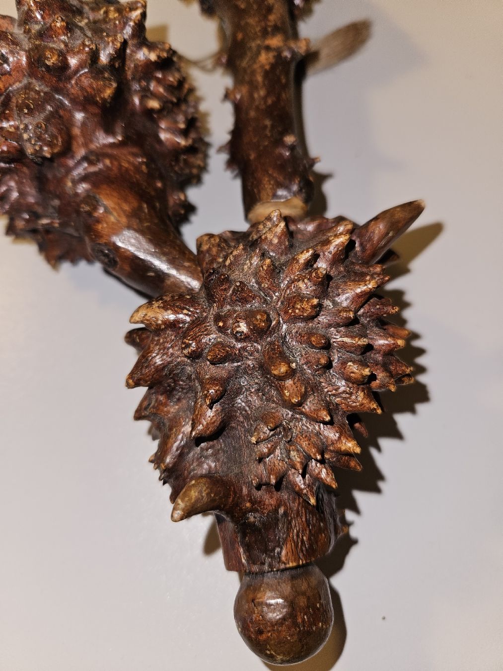 Pipe & Accessori: Backpfeife Wurzelholz Antik – Usato da Hauptwil venduto da Schwertfisch24 5