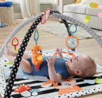 Fisher-Price 3-in-1 Spieldecke mit Spielbogen, Licht & Musik
