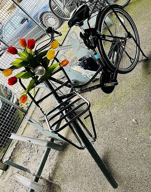 Vélos: Original Dutch OmaFiets Velo – D'occasion à Baar par kae_8kx2
