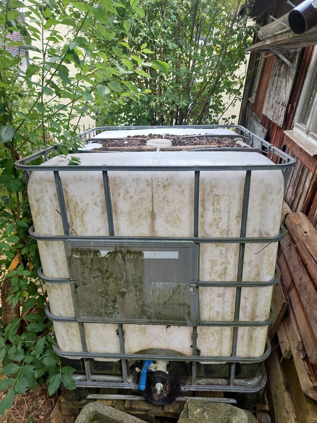 Abreuvoirs & Auges: Wassertank – D'occasion à Hinwil par Floflufla 3