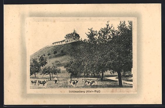 Cartes postales: Schönenberg /Klein-Rigi, Hotel mit Küh – D'occasion à Berlin par bartko-reher