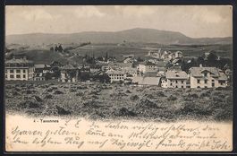 AK Tavannes, Teilansicht, 1906