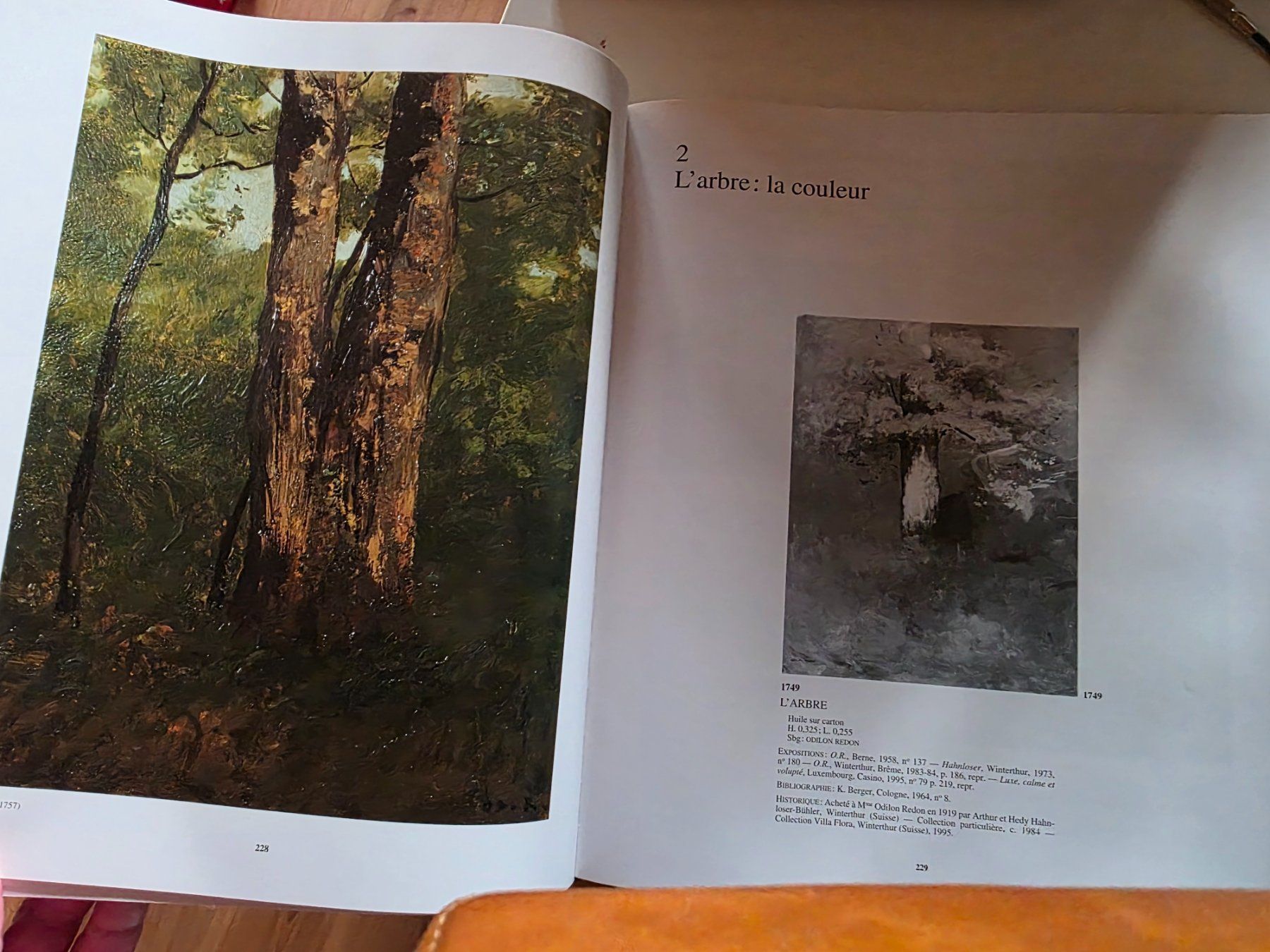 Libri: Odilon Redon - Wildenstein Institute Paris 1996 – Nuovo (secondo la descrizione) da Walterswil BE venduto da Lonitti 4