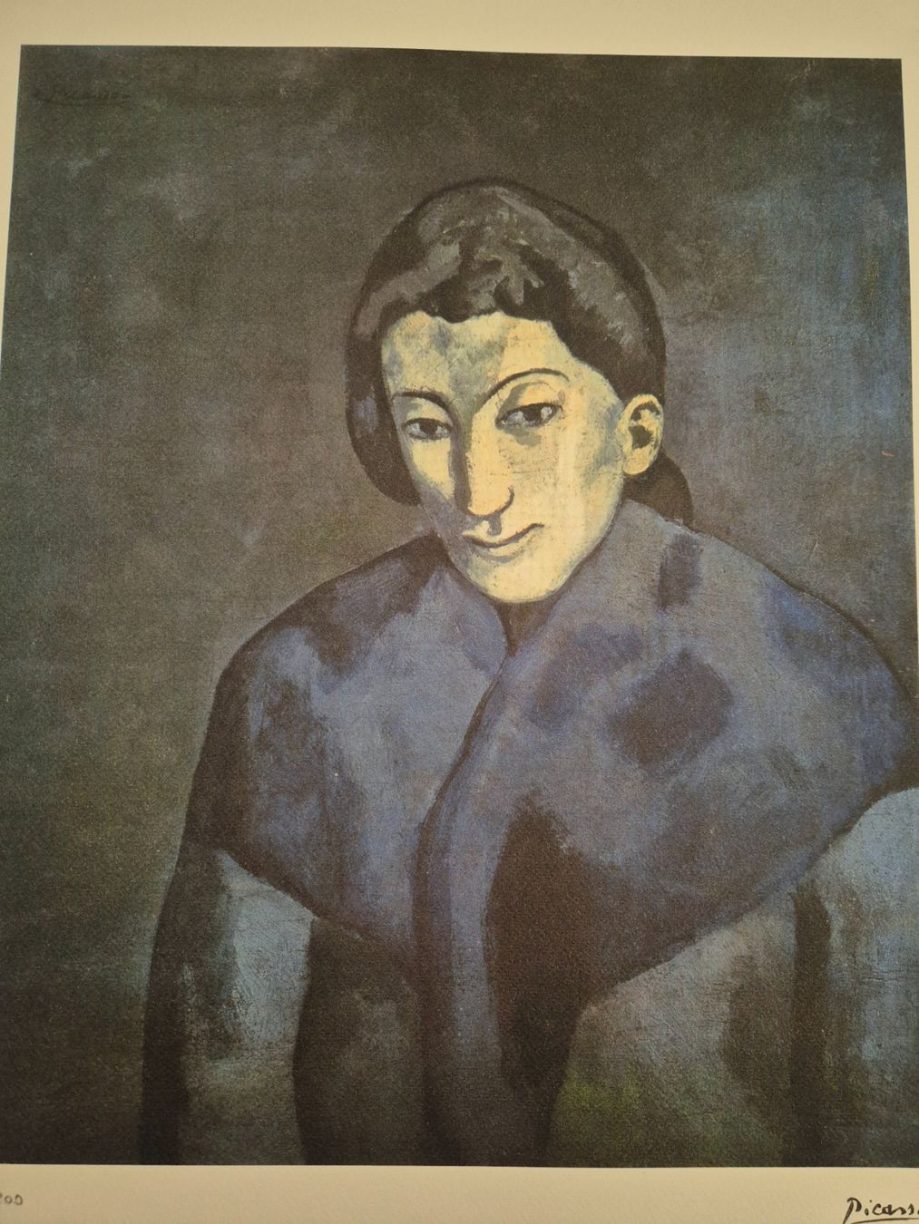 Foto & Immagini: Picasso 51/200 – Usato da Staufen venduto da saerdna81