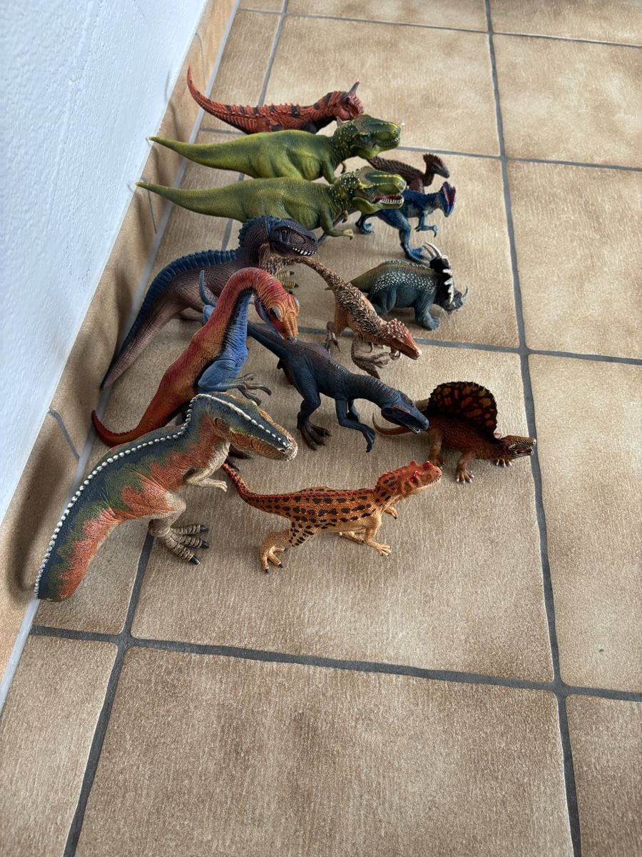 Schleich Figurines: 13 Schleich Dinosaurier  – D'occasion à Bachenbülach par Queen_K 3