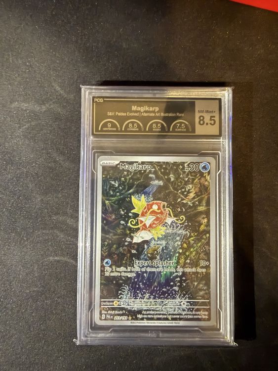 Magikarp Alt. Art Illustration (Gebraucht) in Neuhausen für CHF 160 ...