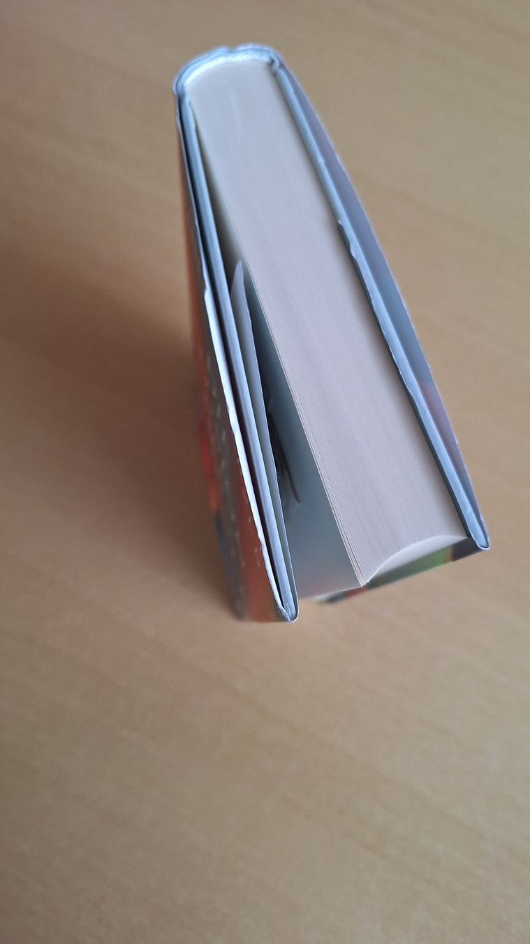 Libri: Die Illusion der Vernunft von Philipp Sterzer – Usato da Dättlikon venduto da Winti13 2