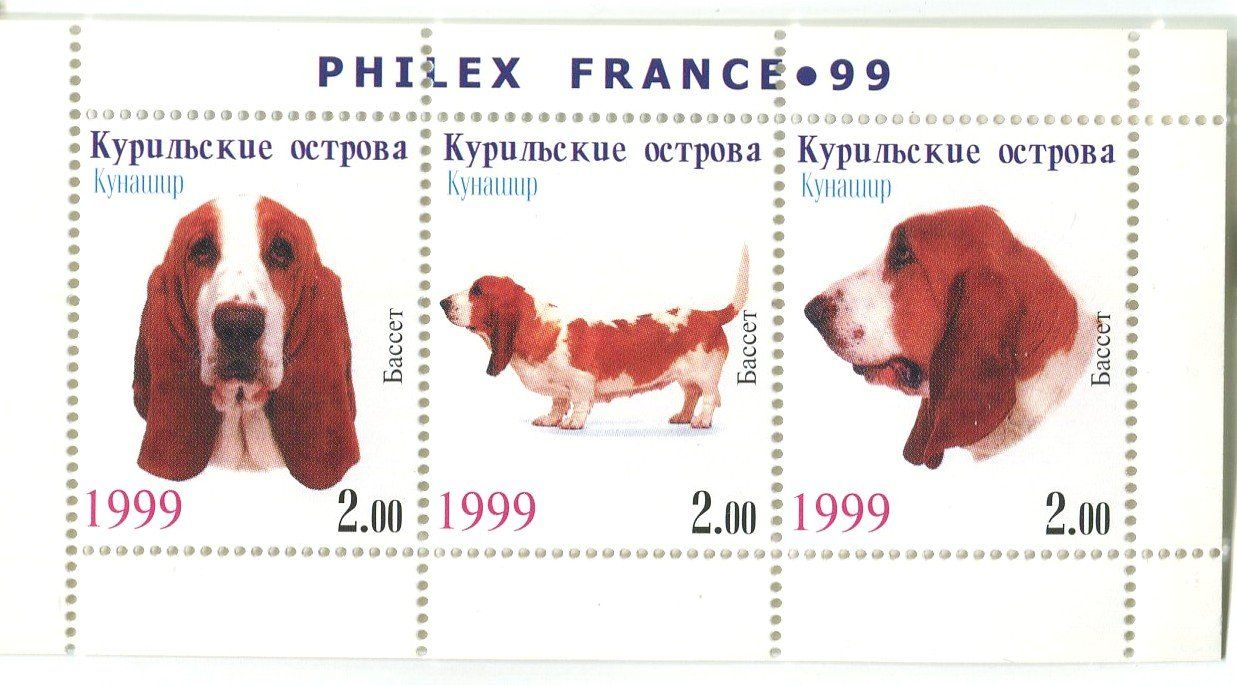 Tutti i francobolli: Block "Basset Hound". Kurilen. – Nuovo e nell'imballaggio originale da Basel venduto da Butsch5