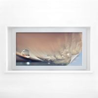 Sichtschutzfolie Dmitry 100x50cm  (neu, UVP 79.90 Fr.)