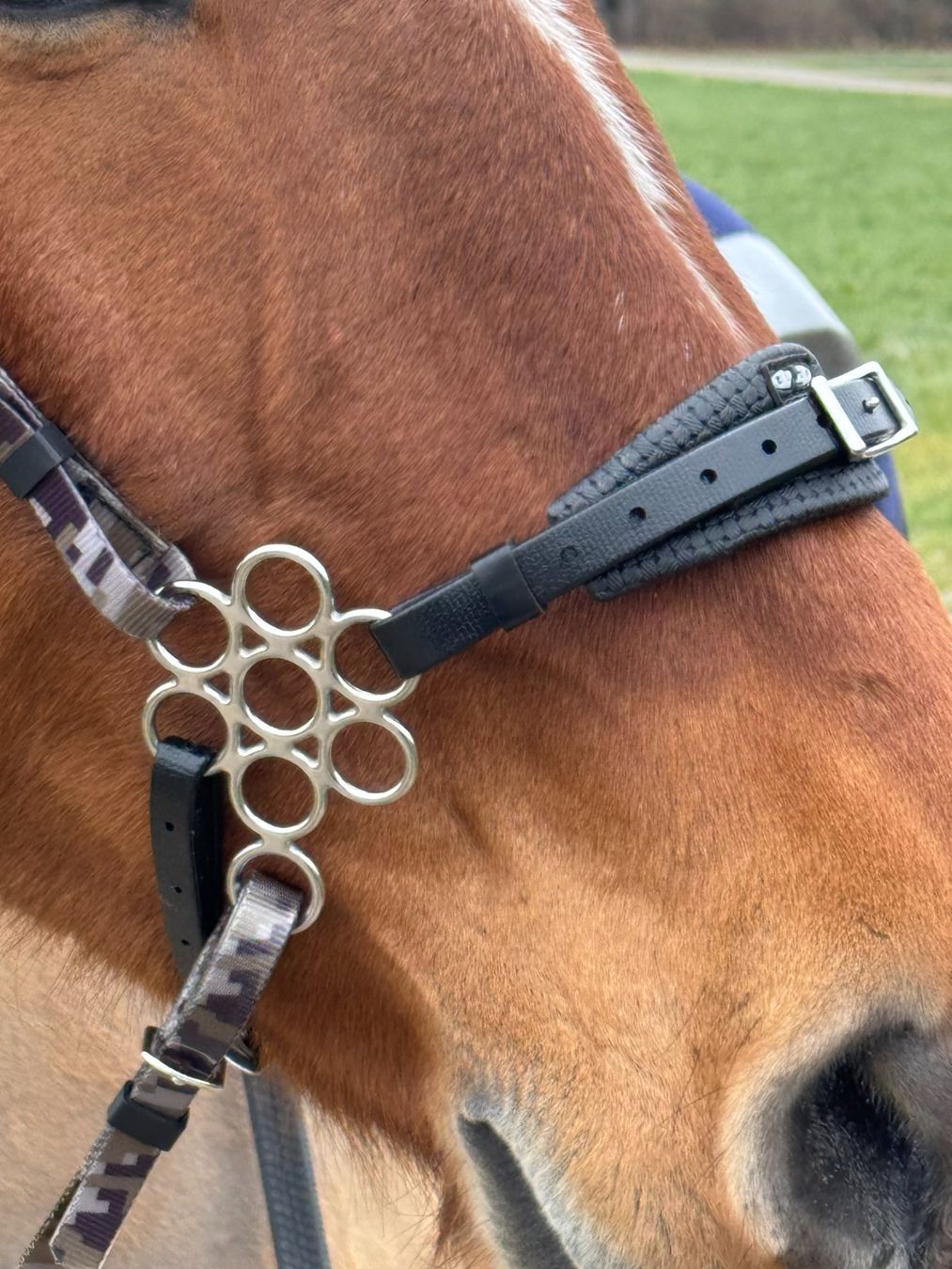Briglie & Cavezze: Zilco Blumen Hackamore mit Schenkel Einheitsgrösse – Nuovo e nell'imballaggio originale da Frauenfeld venduto da Nikodemus3