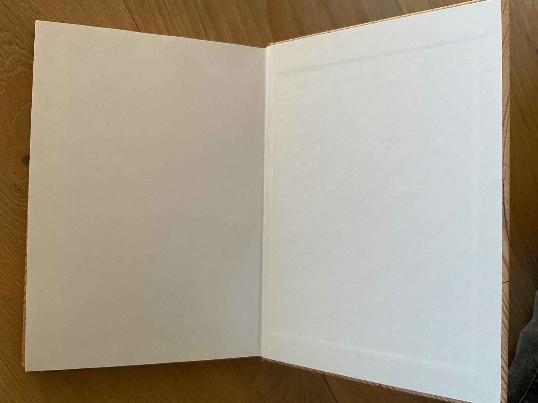 Tutti i francobolli: la collection suisse 2004 – Nuovo (secondo la descrizione) da Breitenbach venduto da geni014 3