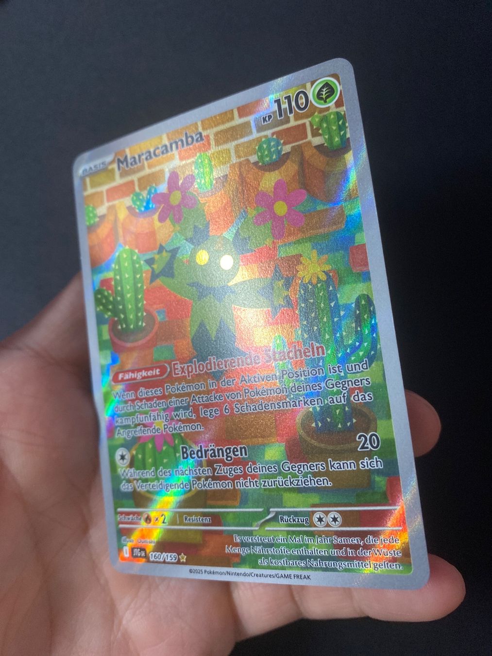Pokémon Sammelbilder & Trading cards: Maracamba 160 - Maractus - IR - Journey Together - DE – Neu (gemäss Beschreibung) aus Hausen AG von Shrade 1