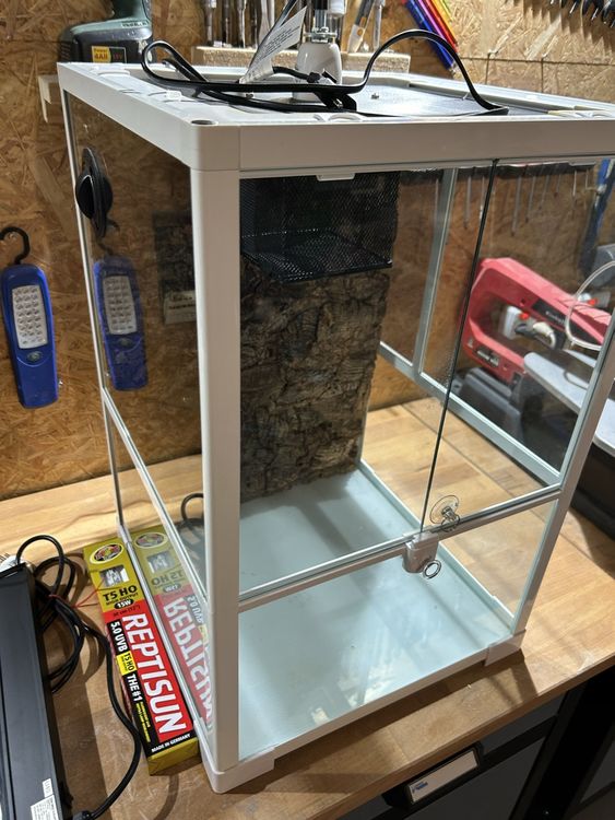 Elegantes Terrarium Mit Heizung Bild