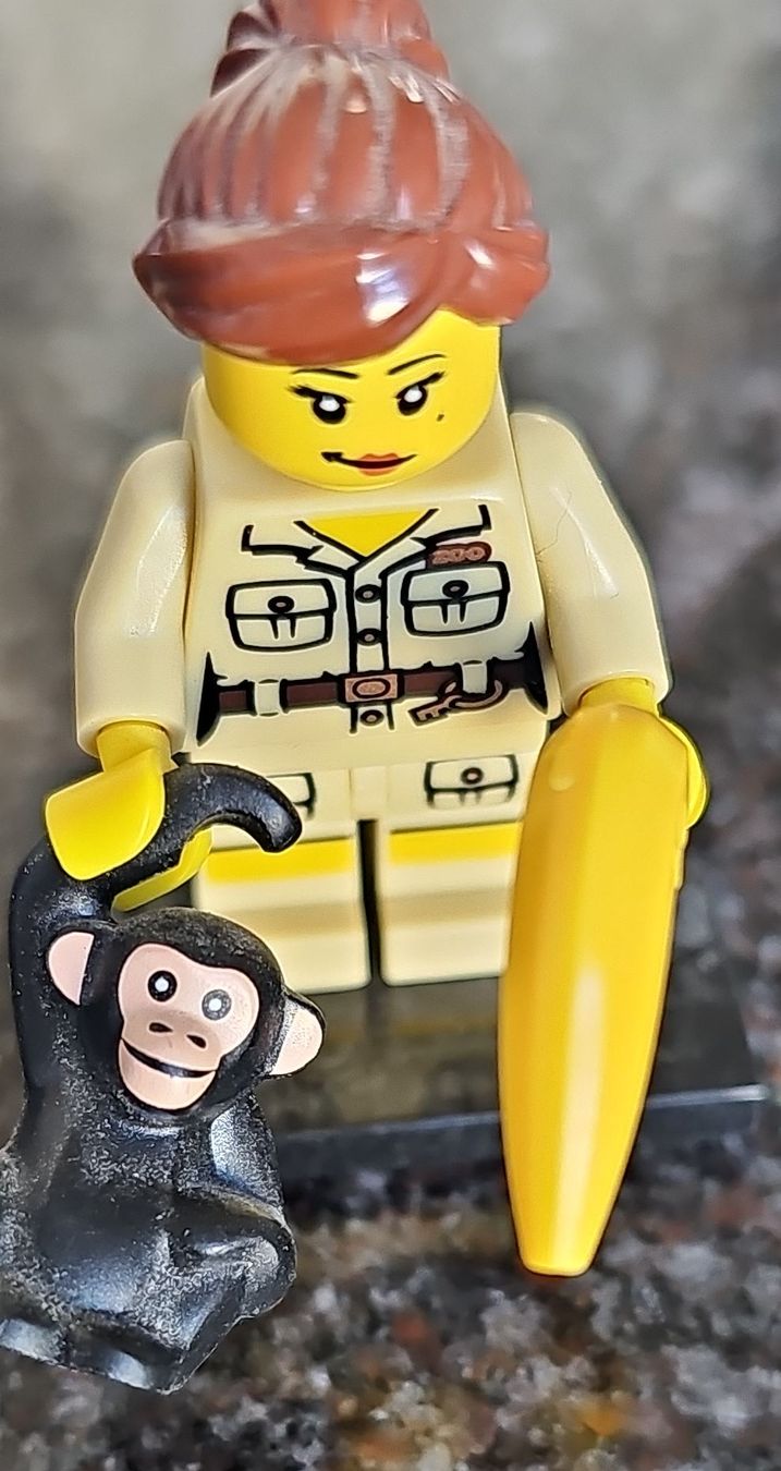 Lego Statuette: LEGO Minifigur Dschungelforscherin mit Affe – Nuovo (secondo la descrizione) da Basel venduto da ros_hc58