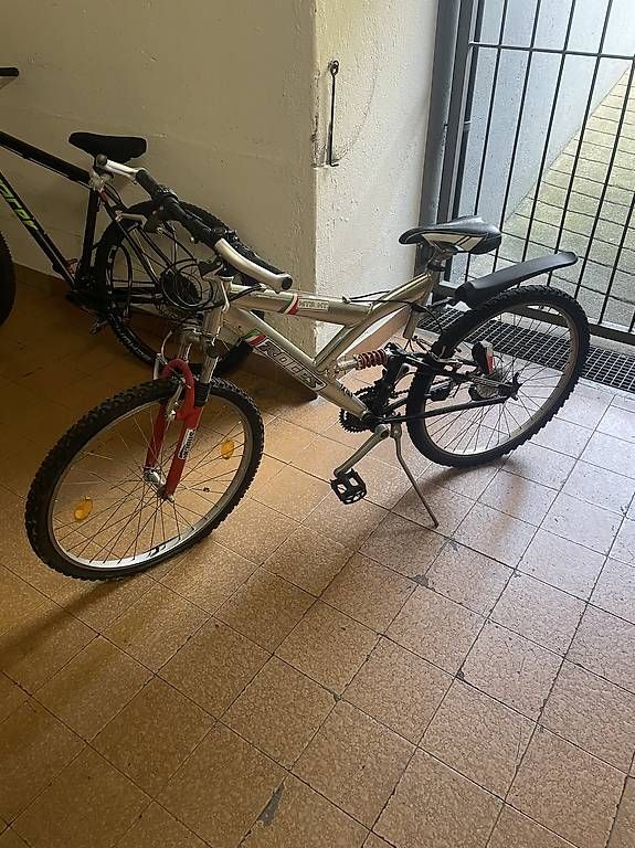 Velos: Bicicletta – Gebraucht aus Locarno von MarkosGigo