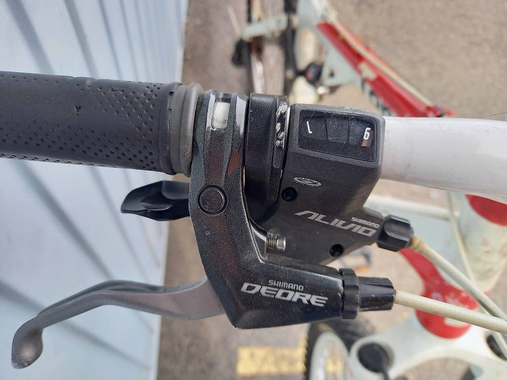 Biciclette: Vendo rampichino – Usato da Gordola venduto da celiane78 1
