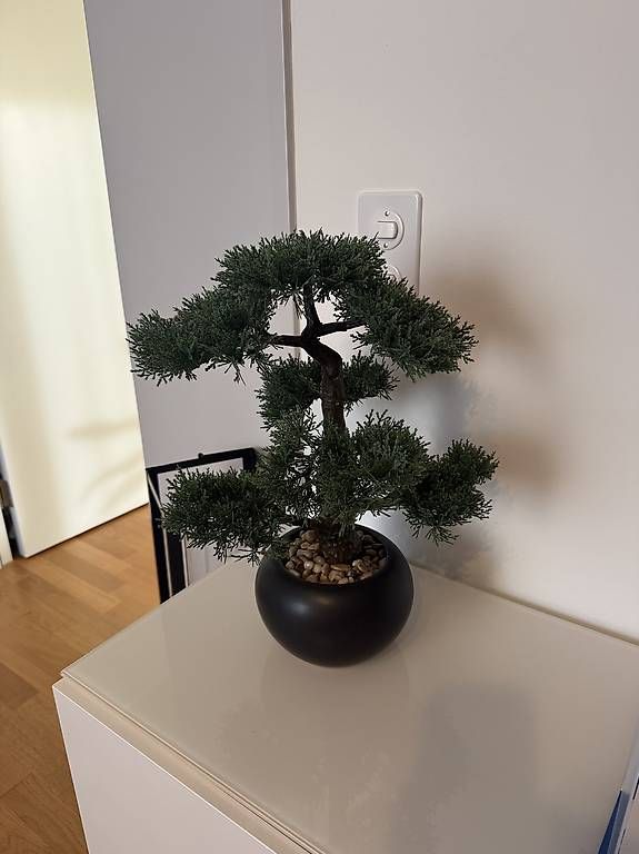 Pflanzen & Samen: Kunstpflanze Bonsai – Neu und originalverpackt aus Zürich von Marti97 2