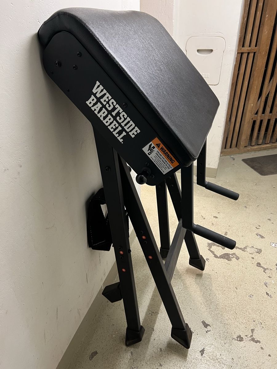 Rogue Hometrainer: ROGUE WESTSIDE SCOUT HYPER - Krafttraining – Usato da Thun venduto da nightshift007 1
