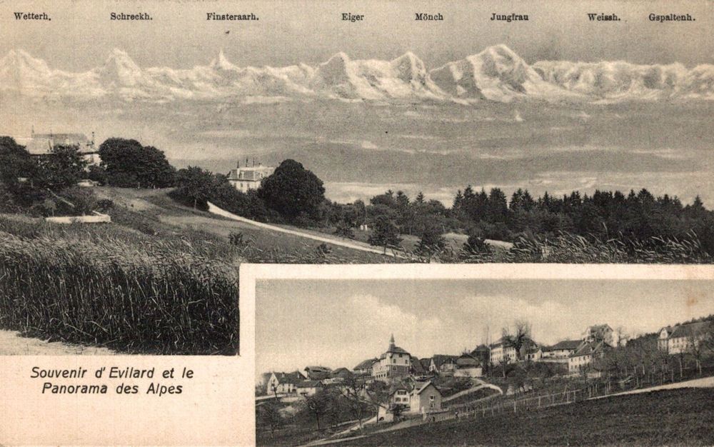 Karte Souvenir d'Evilard 1910 Kaufen auf Ricardo