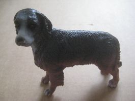 HUND