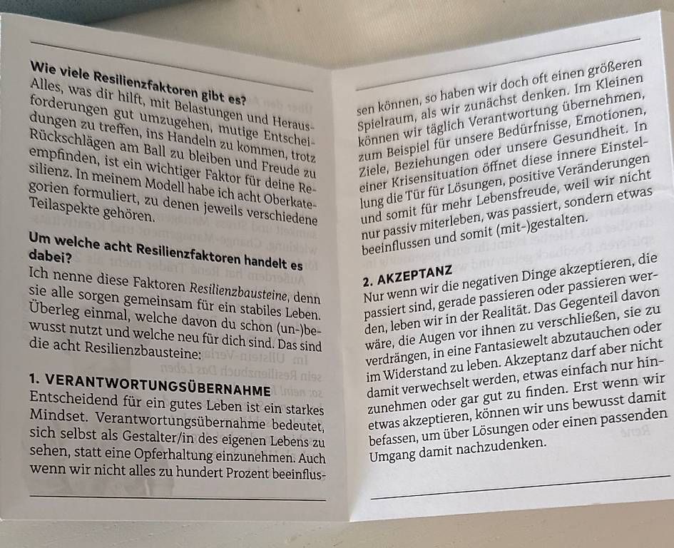 Libri: "Gestärkt durchs Leben gehen" Impulskarten – Usato da Schaffhausen venduto da -sterntaler- 1