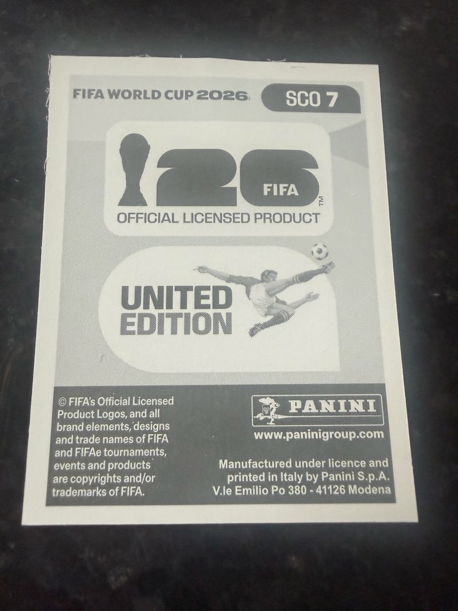 Panini Carte collezionabili: FIFA World Cup sco7 – Usato da Feldbrunnen venduto da cleo09 1