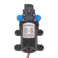 Selbstansaugende Pumpe Wasserpumpe 12V