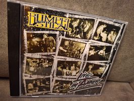 Rumpelstilz –  Live im Anker