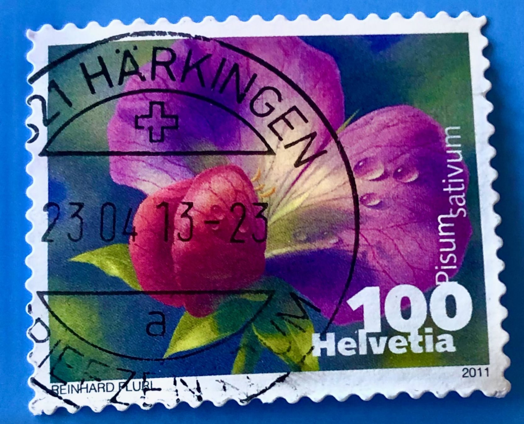 Tutti i francobolli: Nr.1377 mit gestempelt Zucchini 2011    – Usato da Aarau venduto da Billa007