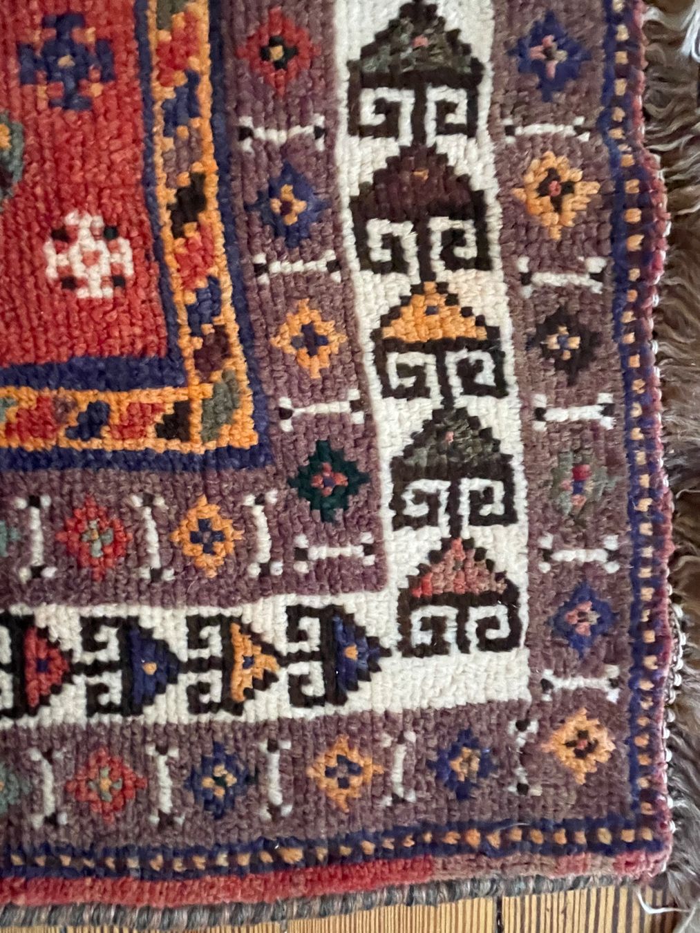 Tappeti: Tapis Chiraz Iran – Usato da Confignon venduto da amb_zw9z 1